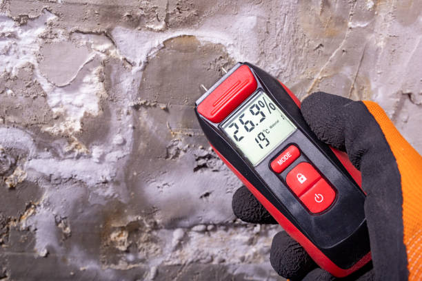 Best Mold Removal Company Near Me  in Como, MS