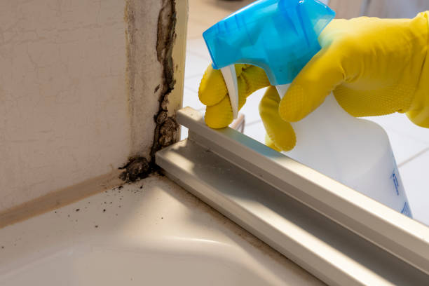 Best Toxic Mold Removal  in Como, MS