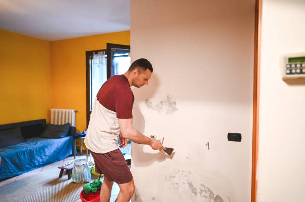 Best Mold Removal Process  in Como, MS