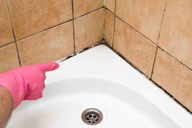 Best Emergency Mold Removal  in Como, MS